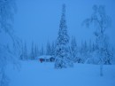 42_Jeris_1_2005_Sammalvaara Cabin * 2272 x 1704 * (2.73MB)